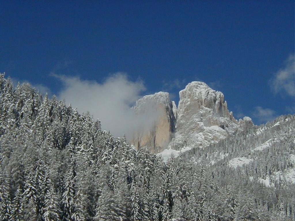 Col Rodella Campitello di Fassa Quarto foto